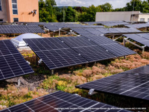Begruentes Flachdach mit Photovoltaikanlage, Referenzprojekt Moeller Real Estate von HDG Dachtechnik
